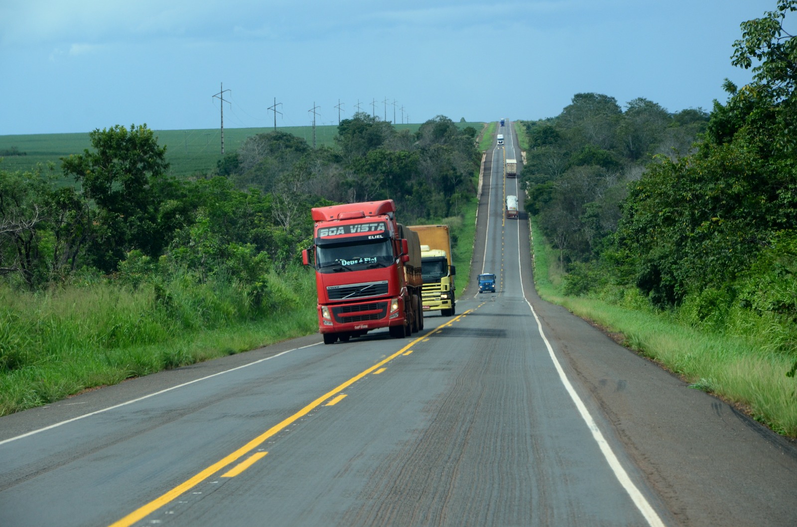 Toxicológico: Detran/TO esclarece dúvidas sobre o exame para a realização de processos de habilitação