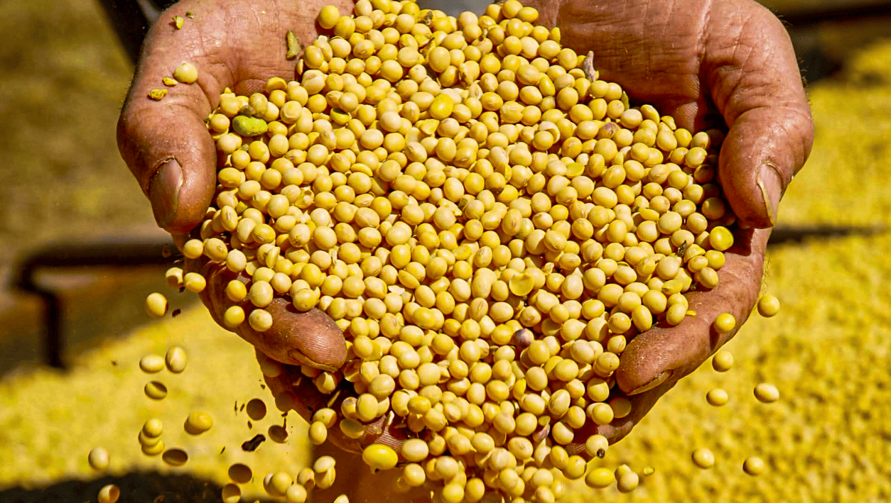 Governo do Estado impulsiona crescimento econômico e Tocantins ultrapassa US$ 3 bilhões em exportações, ocupando 3º lugar na Região Norte