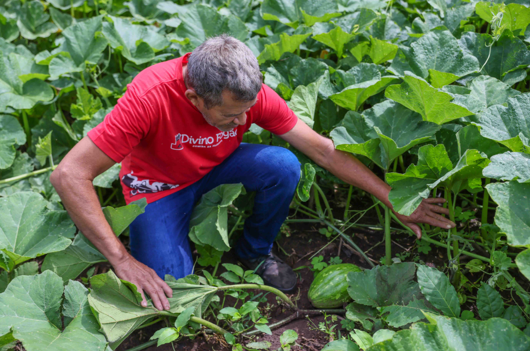 Prefeitura de Palmas entregará Central de Abastecimento da Agricultura Familiar nesta terça-feira, 10
