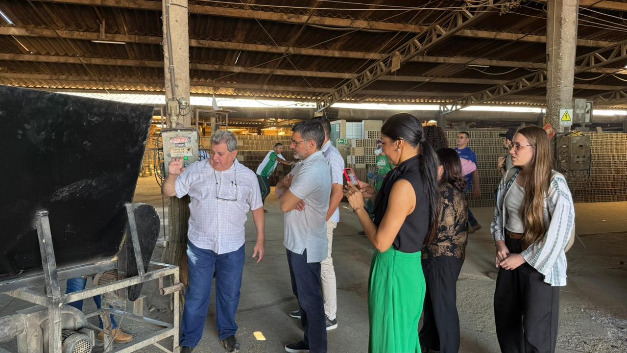 Mais de 100 mil toneladas de CO₂ evitadas: Tocantins destaca empresa que comprova produção com preservação ambiental