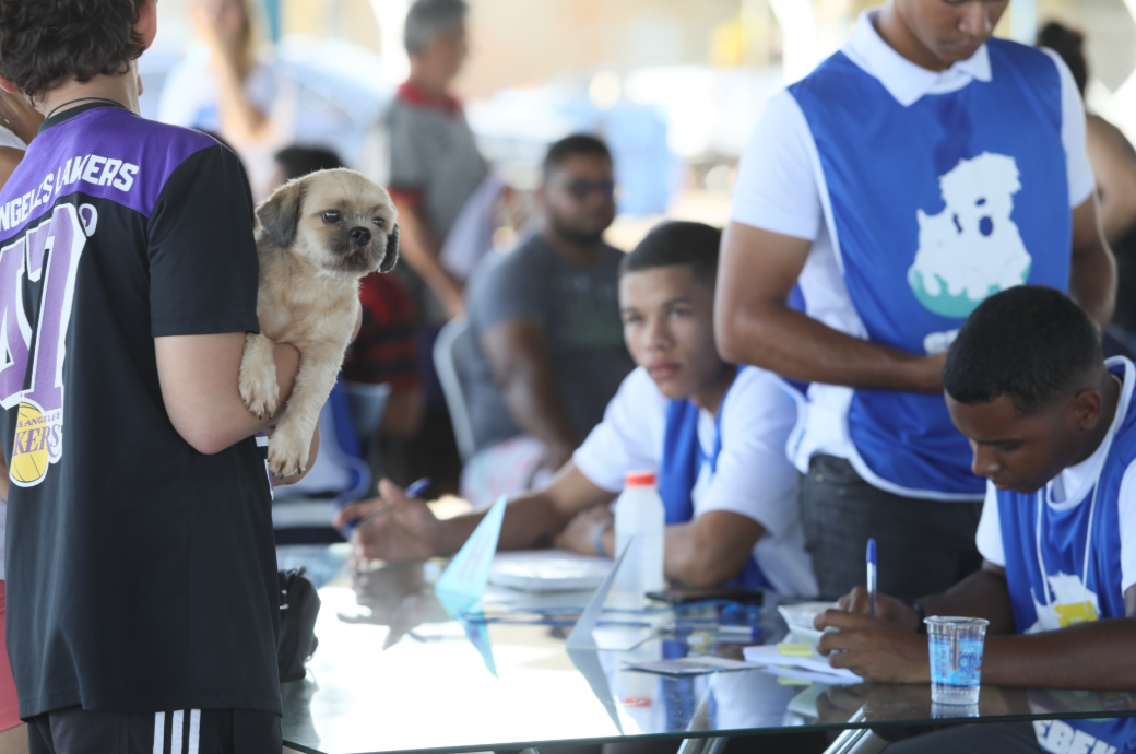 Prefeitura de Palmas realiza nova edição do Palmas Cuida + com atendimento gratuito para 350 cães