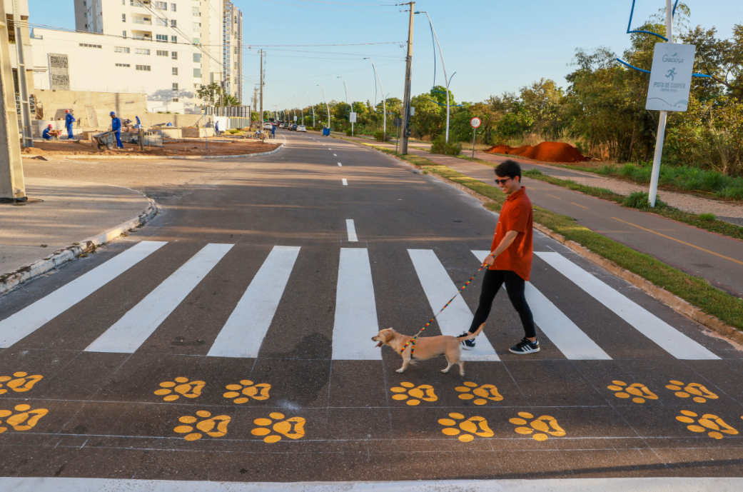 Tempo seco acende alerta: veja os cuidados para proteger cães e gatos