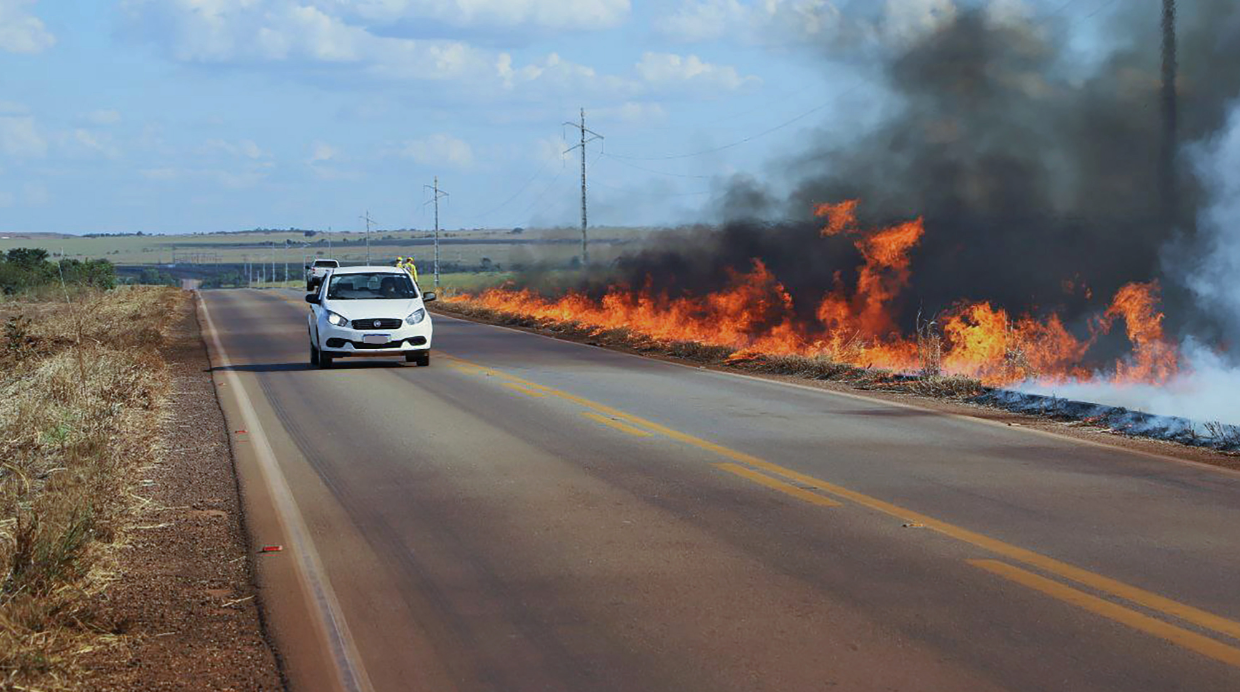 Período de estiagem exige atenção redobrada para prevenir incêndios florestais no Tocantins