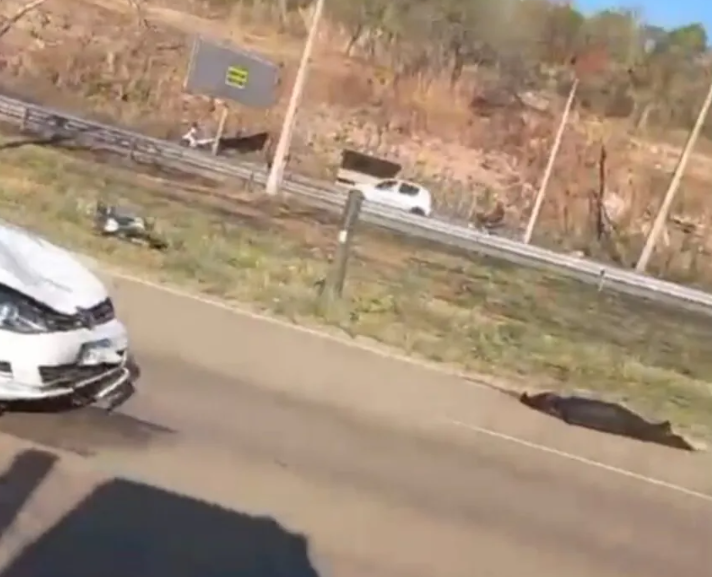 Motociclista de 41 anos morre após colisão na BR-010 em Palmas