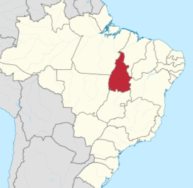 Screenshot 2026-09-30 13.45.21 Equidade racial na educação avança 8,5 pontos na Região Norte