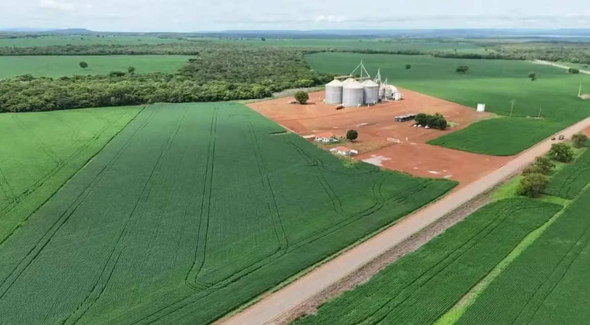 Screenshot 2026-10-26 14.06.20 Tocantins supera R$ 13 bilhões em exportações em 2026