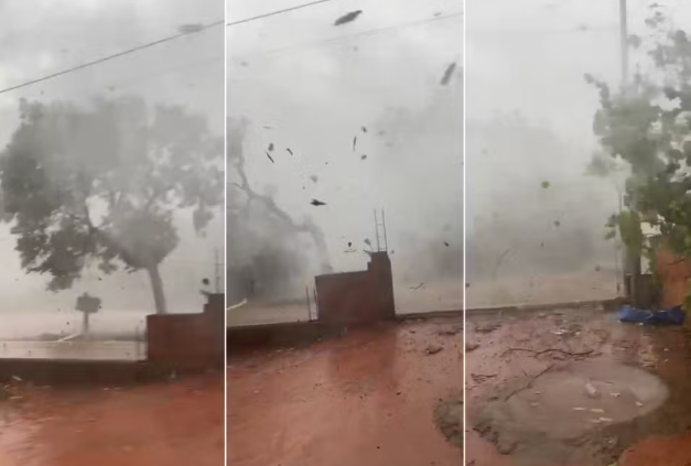 Ventania derruba árvores e assusta moradores em Araguaína